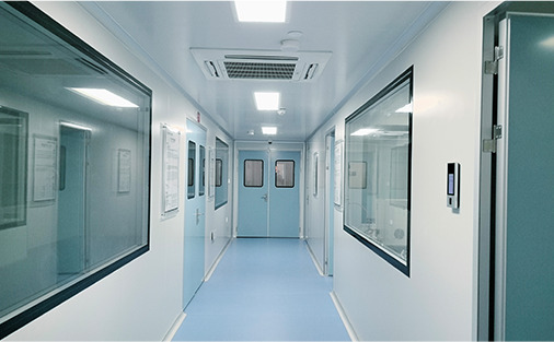 Cleanroom Laboratory Corridor &amp; Facility Layout